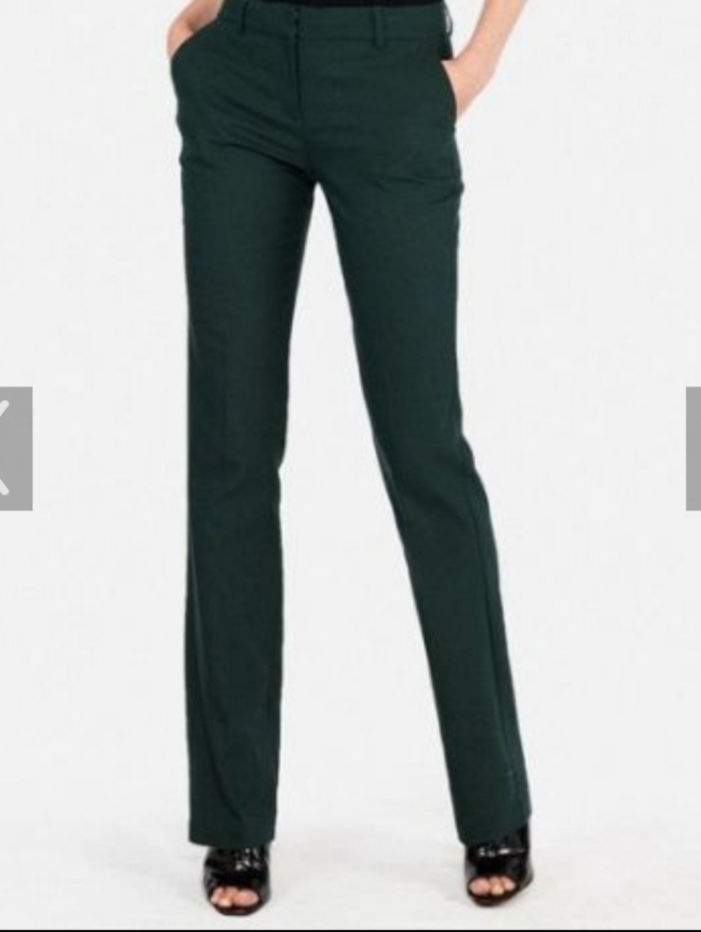 Express Columinst Pants